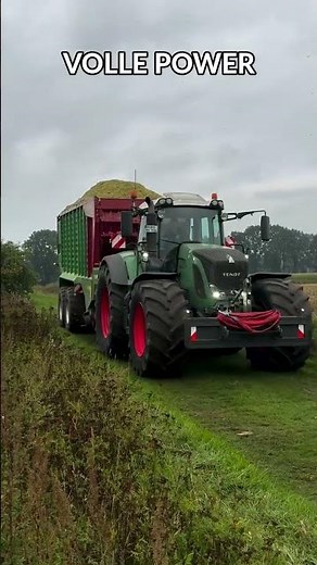 Maisernte 2026 🌽🚜 Volle Power! #shorts
