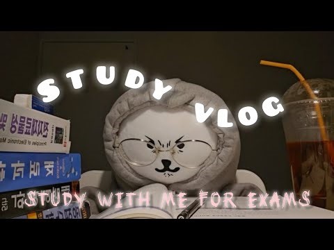 Study vlog! |Exams|11th grader|