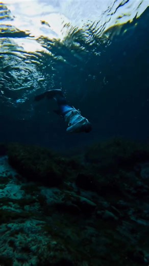 After the sirens bite, the captured Merman remained powerless until… Finfolk Productions | Merman Mikey