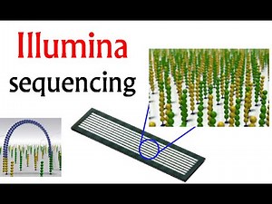 Illumina Sequencing Video Lecture | Crash Course for CSIR NET Life Sciences (English)