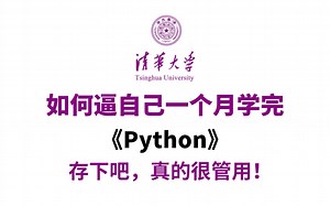 【整整500集】绝对是全站最细最全！2025全新录制Python零基础入门教程，全程干货无废话，用一个月时间，带你一步步从零小白入门到编程大佬！
