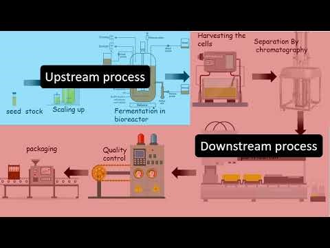 Bio processing overview Upstream and downstream process