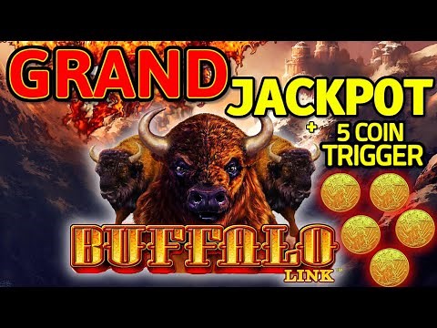 💵 I WON THE GRAND JACKPOT! BUFFALO LINK SLOT MACHINE LIVE PLAY 1st ON YOUTUBE AT THE WYNN LAS VEGAS