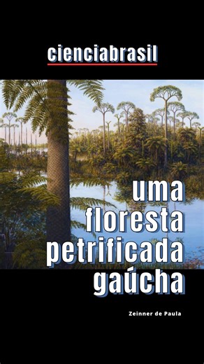 Peter Moon on Instagram: "UMA FLORESTA PETRIFICADA GAÚCHA @josi_salau @joselinemanfroi @ariellifm @willgobo @margotguerrasommer @flpinheiro @zeinner.paula @labpaleobio por @petermoonbr - 13/06/2025 TRILHA: Dimitri Cervo (1968-) As Quatro Estações Brasileiras I. Primavera Amazônica (Alvorecer) @orquestrasm maestro: @dimitricervo Violino Solo: @francisco.coser REFERÊNCIA: Ferraz JS et al. 2025. An oasis in Western Gondwana: A diverse Guadalupian paleoflora from South America. Journal of South Amer