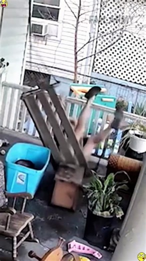 Try Not To Laugh: Ultimate CCTV Fails & Home Accidents