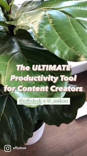 Loving @mikoowang's new work digs! #fyp #ergonomic #effydesk #workfromhome #wfh #foryourpage #tiktok