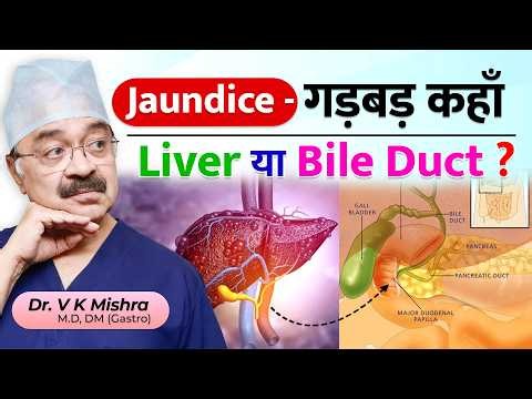 Jaundice (पीलिया) लीवर की खराबी या पित्त की नली में रुकावट? जानिए अंतर!
