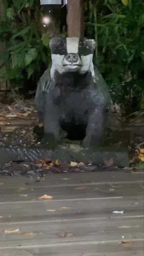 12K views · 1.4K reactions | It’s such a comforting thought that Mr Lumpy’s carving is watching over the garden. I hope these videos make you feel like you’re here with me watching 說❤️ | Mr Lumpy & Friends. | Facebook