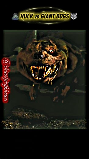 Hulk VS. Giant Dogs 🥶 #shorts