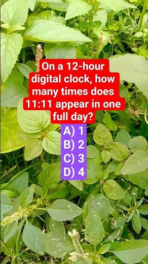 On a 12-hour digital clock, how many times does 11:11 appear in one full day?