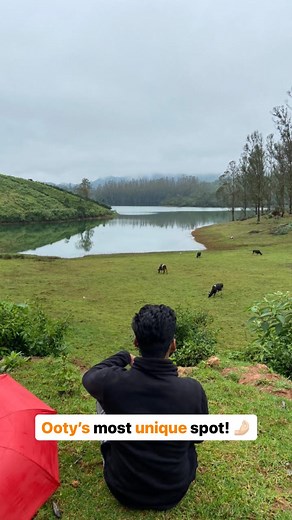 Zostel on Instagram: "Hit this MESMERISING spot on your next visit to #Ooty. 🤩 Things to do during your visit: 💫Near Emerald Lake: Go for a picnic, experience birdwatching, and catch magnificent sunset & sunrise views. 💫Near Avalanche Lake: You can take a minibus ride to tour Avalanche Lake, Bhavani Lake, and Hydropower Plant. ❗Disclaimer: When you’re here, be a responsible traveller and don’t litter, as both of these lakes are situated within the Nilgiri Biosphere Reserve. Explore the copiou