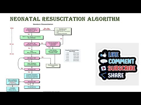 Neonatal Resuscitation Algorithm