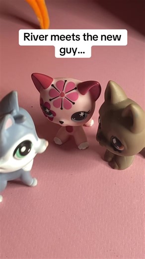 River doesnt know how to flirt… she’s awkward #lps #lpsroleplay #littlestpetshop #lpstiktok #awkward