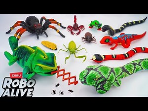 🦈Toy ASMR🦈RC SPIDER & RC Chameleon & RC Snake & Lizard ASMR Satisfying with Unboxing