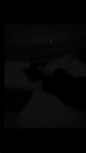 Jane jane (@jane.jane0350)’s videos with original sound - Jane jane