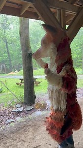 3.8K views · 19 reactions | Turtle Island Preserve on Reels | Facebook