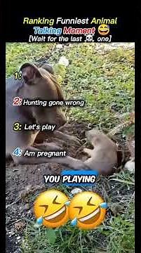 Ranking funniest Animal Voiceover talking moment 😅 try no blink because is very funny