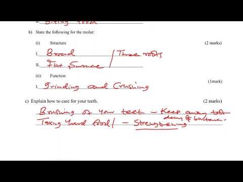 KJSEA SAMPLE PAPER INTEGRATED SCIENCE PAPER 2 PRACTICAL