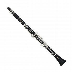 Yamaha YCL255 Clarinet B Flat Student Model