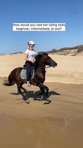 716K views · 1.7K reactions | How would you rate her riding skills — beginner, intermediate, or pro? #horse #horses #horsesofinstagram #equestrian #horseriding #equine #pony #pferd #equestrianlife #horselove #dressage #horselover | Oussama_horserider | Facebook