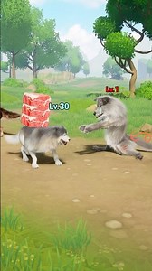 Jerry, the generous…and ignored😠Now we survive on our own #wolfgame #wolf #animalshorts #wolfstory