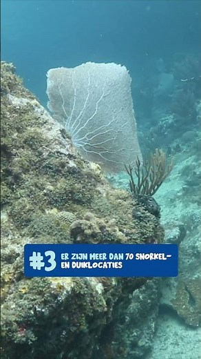 Leuke weetjes over Curaçao