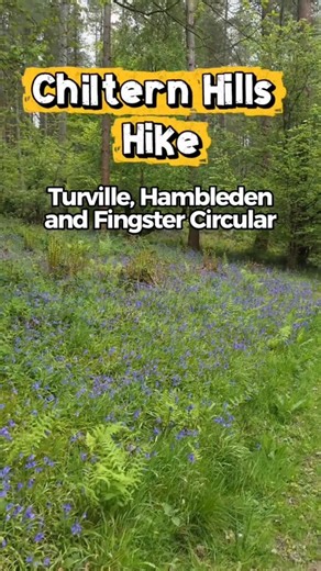 This Chiltern Hills Walk Has 3 Perfect Pub Stops 🍻 | Turville, Hambleden & Fingest Circular