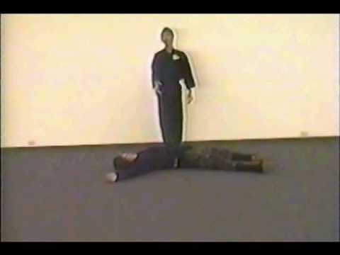 Ashida Kim - Ninja invisibility