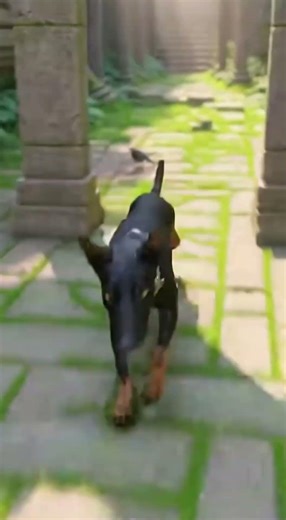 Stronger together 🐕 #animals #wildliferescue #shorts