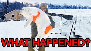 Unexpected Finds During a Farm Vlog