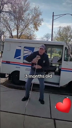 Then and Now, Frannie and Postman Dan #frannielife #PostmanDan #frandanfurever #frannienation #love