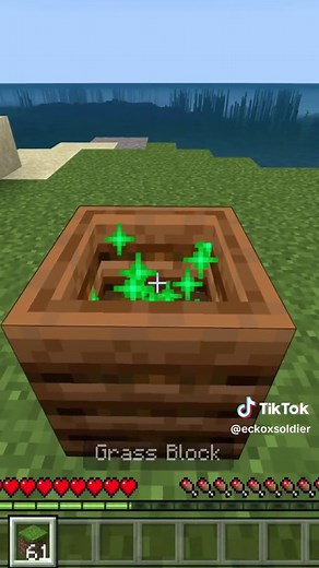 3 cool Minecraft Hacks you possibly didn't know about! #minecraft #minecrafttutorial #minecrafthack #minecrafthacks #fyp #foryou