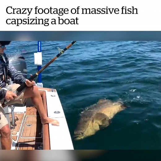 Watch til the end! 😱 Credit: ViralHog | VT