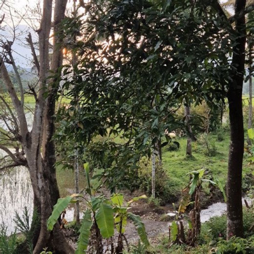 Bio Basics on Reels | Facebook