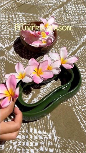 USING A LEI VASE 🌺 #plumeria #floralarrangement #frangipani #hawaii #leis