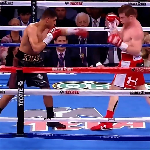 Canelo Alvarez vs Amir Khan Highlights | Anita Skorgan
