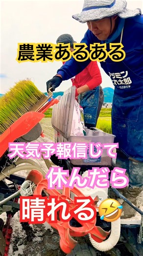 Kubota NW60S GS rice transplanter, rice planting work #farming #modernagriculture #automobile #ku...