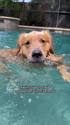 Kevin sure does love a pool party with friends. They keep Kevin and me active, especially when it’s hot outside! How do you beat the heat while keeping your heart happy? #sponsored American Heart Association #BestFriendFridays | agoldennamedkevin
