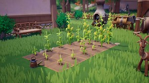 Where To Get & Use Corn Seeds In Palia? - GINX TV