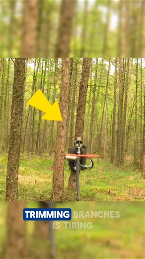The Best Automatic Tree Pruning Device Ever