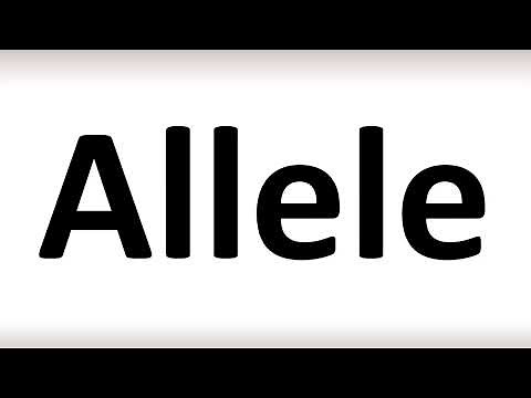 How to Pronounce Allele (correctly!)