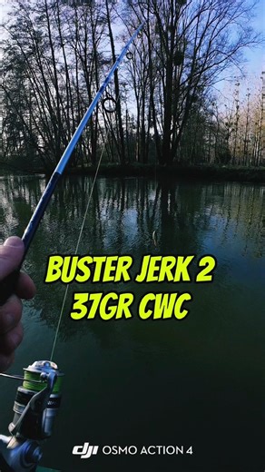 Présentation du Buster Jerk 2 37GR CWC#fishing#shortvideo#leurre#passion#pêche#fishinglife