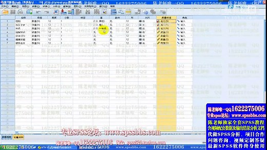 陈老师spss数据分析教程之SPSS数据录入及SPSS格式数据的制作（2）