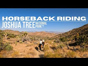 Horseback Riding in Joshua Tree National Park | Exploring the Desert Wilderness