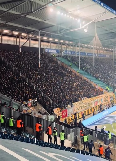 Ultras Dynamo: Passion and Community in Magdeburg
