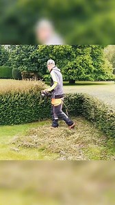282K views · 979 reactions | Hedge restoration Trim overgrown hedges | Wood Of Branch | Facebook