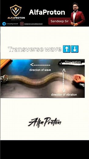 Type of Waves | longitudinal and transverse waves #science #waves #physics