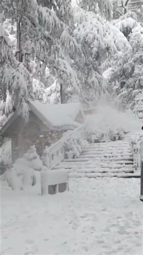 Snow attractions in Shimla Himachal Pradesh