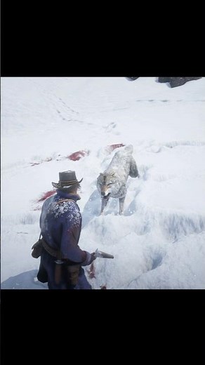 When It's Your First Fight Against Wolves in RDR2 | Red Dead Redemption 2