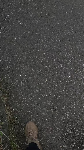 Margineantu pe TikTok